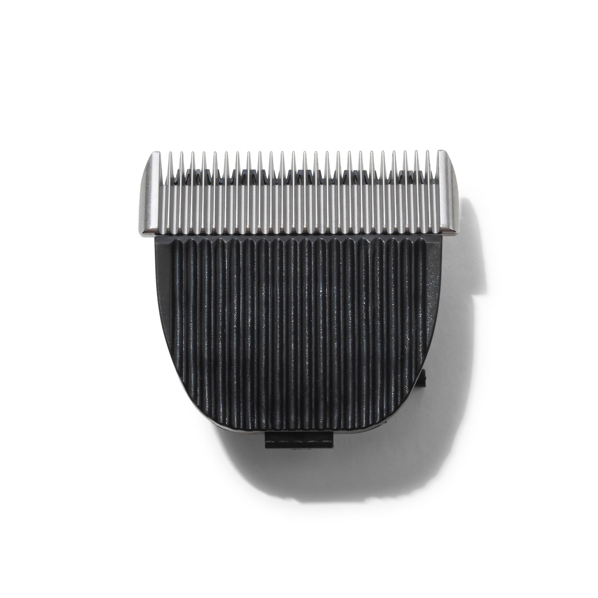 DSC0306_2048x.jpg?v=1707156252